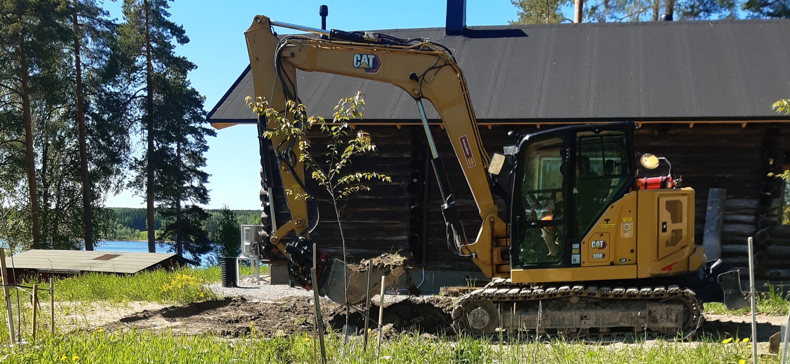 Cat 20220606_121916 (002)-2 Cat 20220606_121916 (002)-2